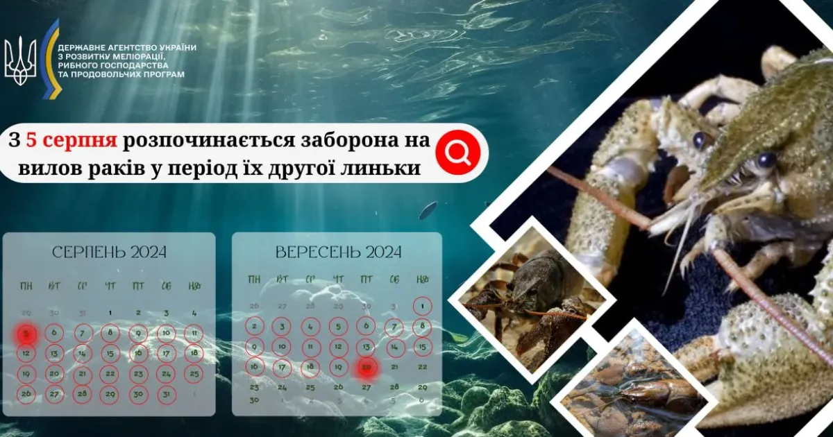 Фото - Держрибагентство З 5 серпня у Слобожанській громаді заборонили ловити раків на порталі Gromada Group
