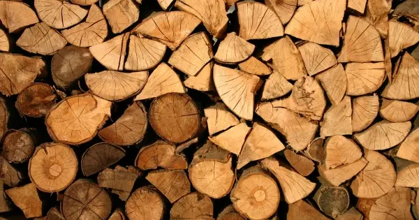 Ілюстративне фото Де та як купити дрова у Слобожанській громаді на порталі Gromada Group